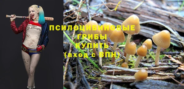 дмт Зеленокумск