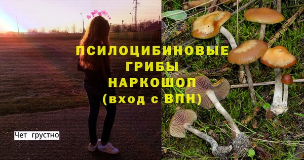 a pvp Зеленодольск