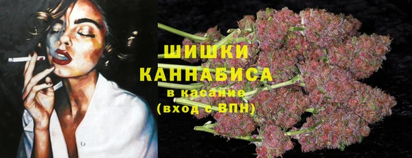 дмт Зеленокумск
