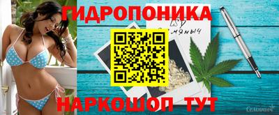 хмурый Апшеронск