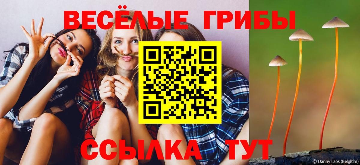 Псилоцибиновые грибы GOLDEN TEACHER  Вход с VPN  Серпухов  Галлюциногенные грибы Magic Shrooms 