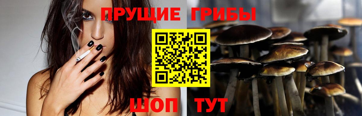 Галлюциногенные грибы MAGIC MUSHROOMS Серпухов